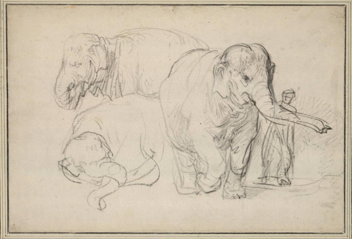 Rembrandt Harmensz. van Rijn, Drei Studien eines Elefanten, daneben ein Wärter, Inv. Nr.: 8900