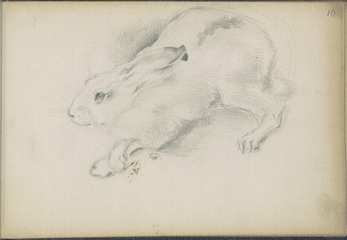 Skizze eines Hasen, Anton Romako