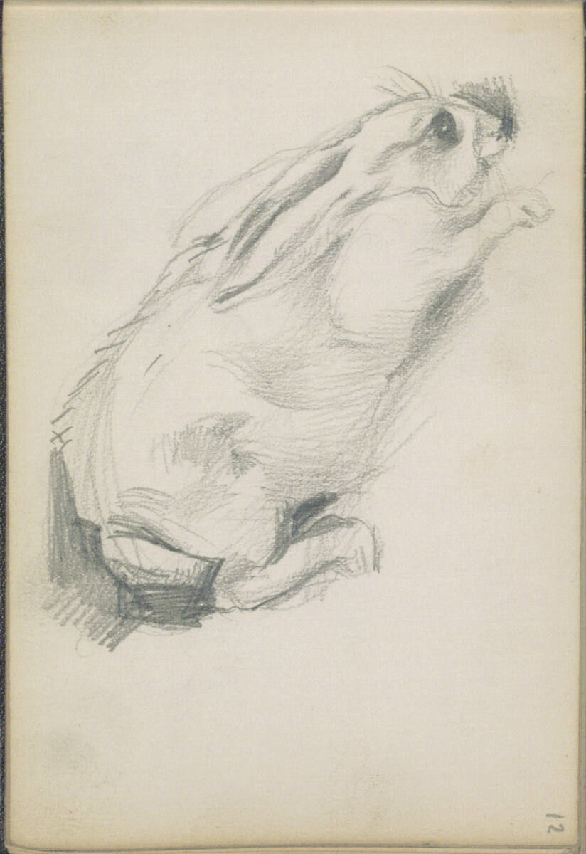 Skizze eines Hasen, Anton Romako