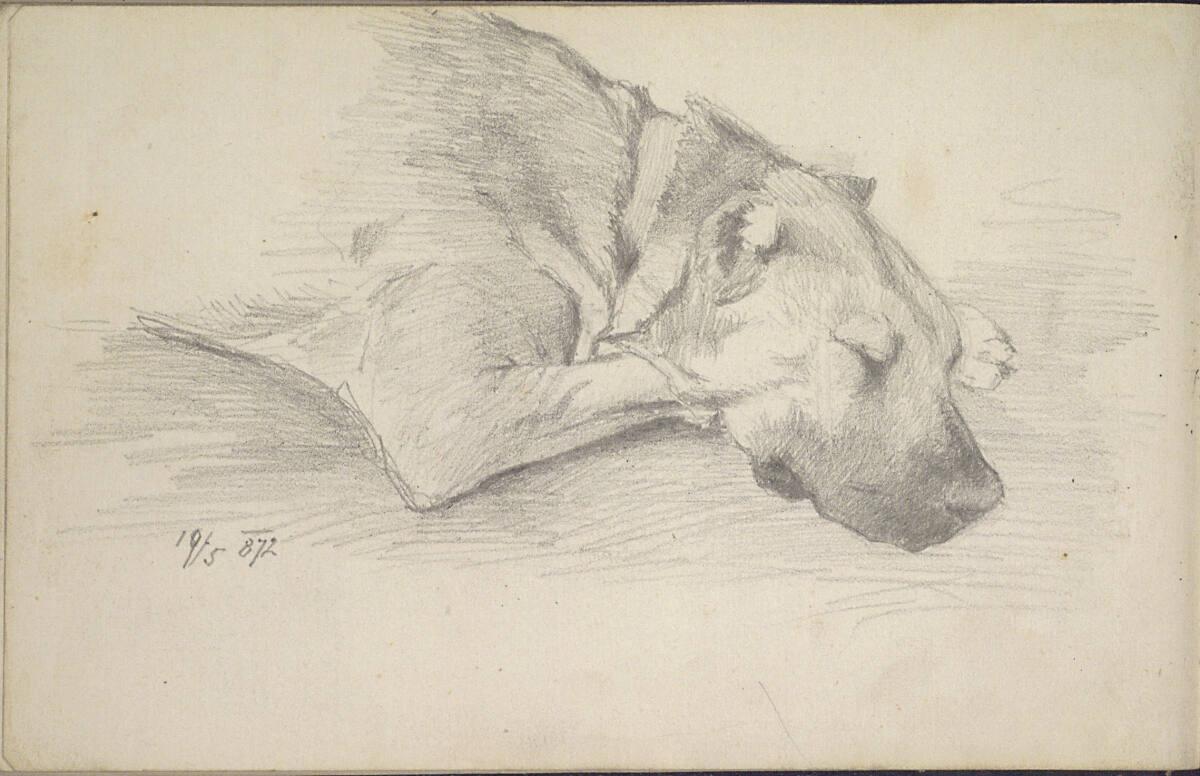 Carl Schuch, Skizze eines Hundes, Inv. Nr.: 27468/15v