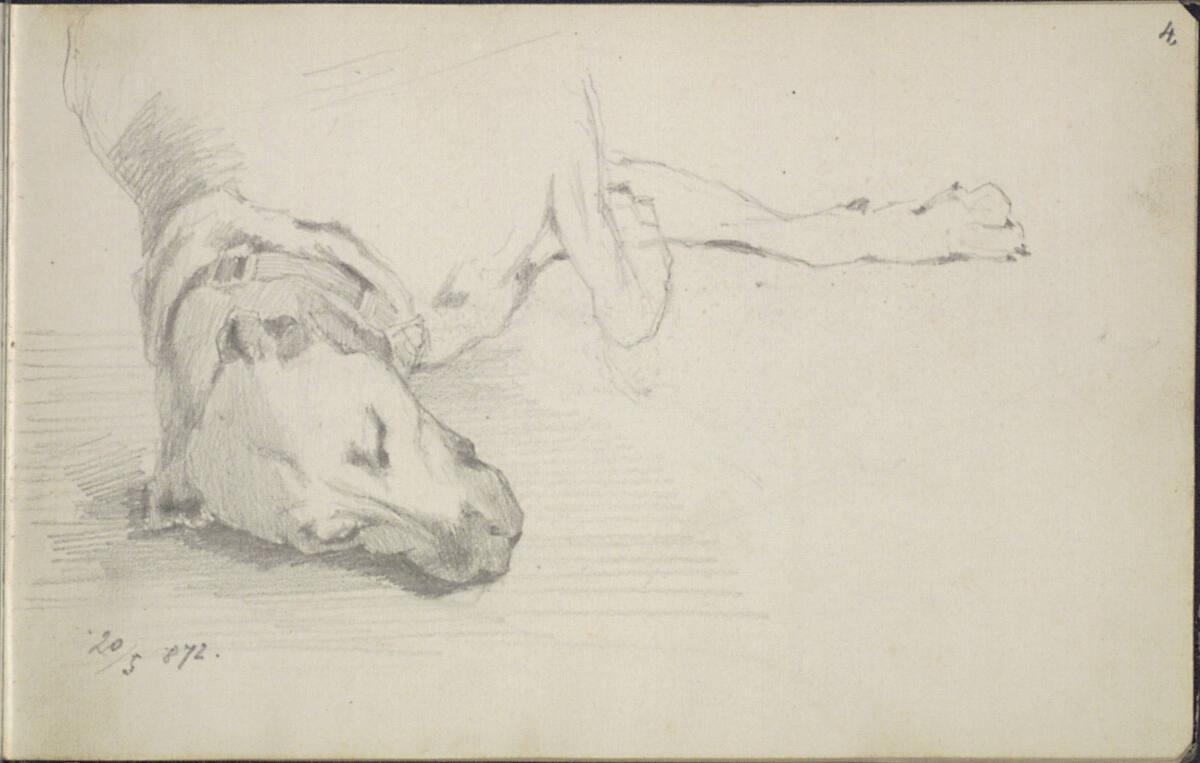 Carl Schuch, Skizze eines Hundes, Inv. Nr.: 27468/4r