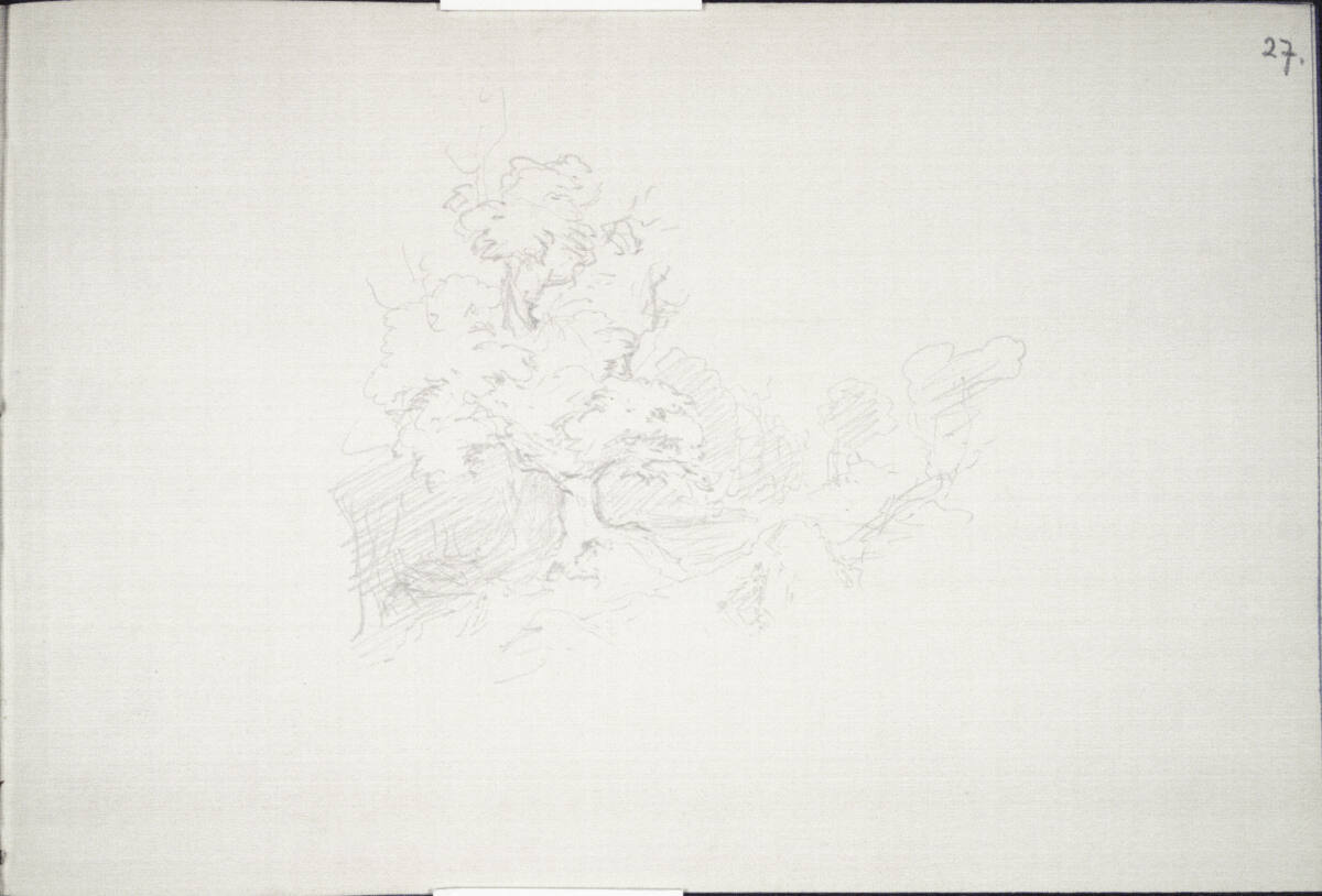 Waldstudie mit Buche, Carl Schuch