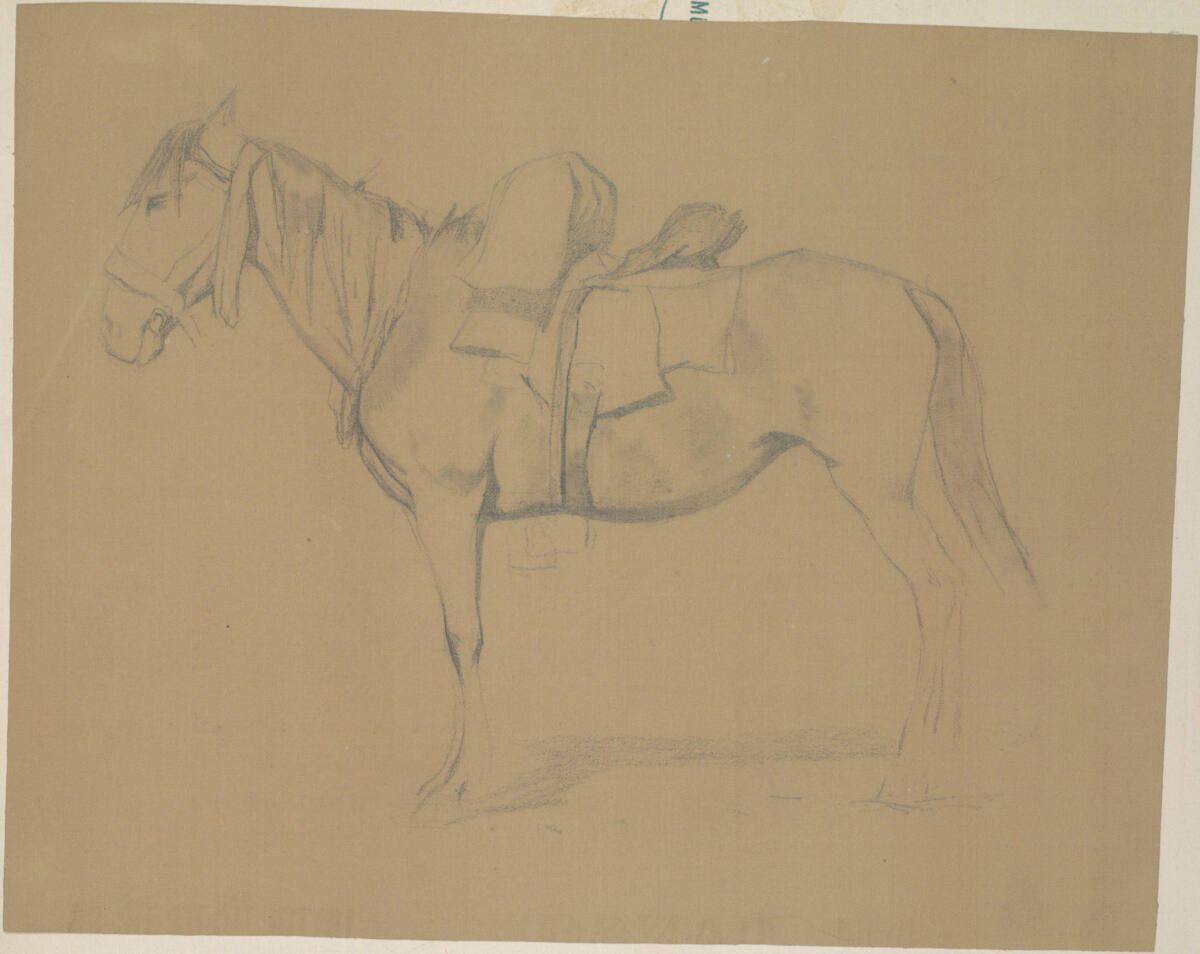 Pferdestudie, Johann Gualbert Raffalt