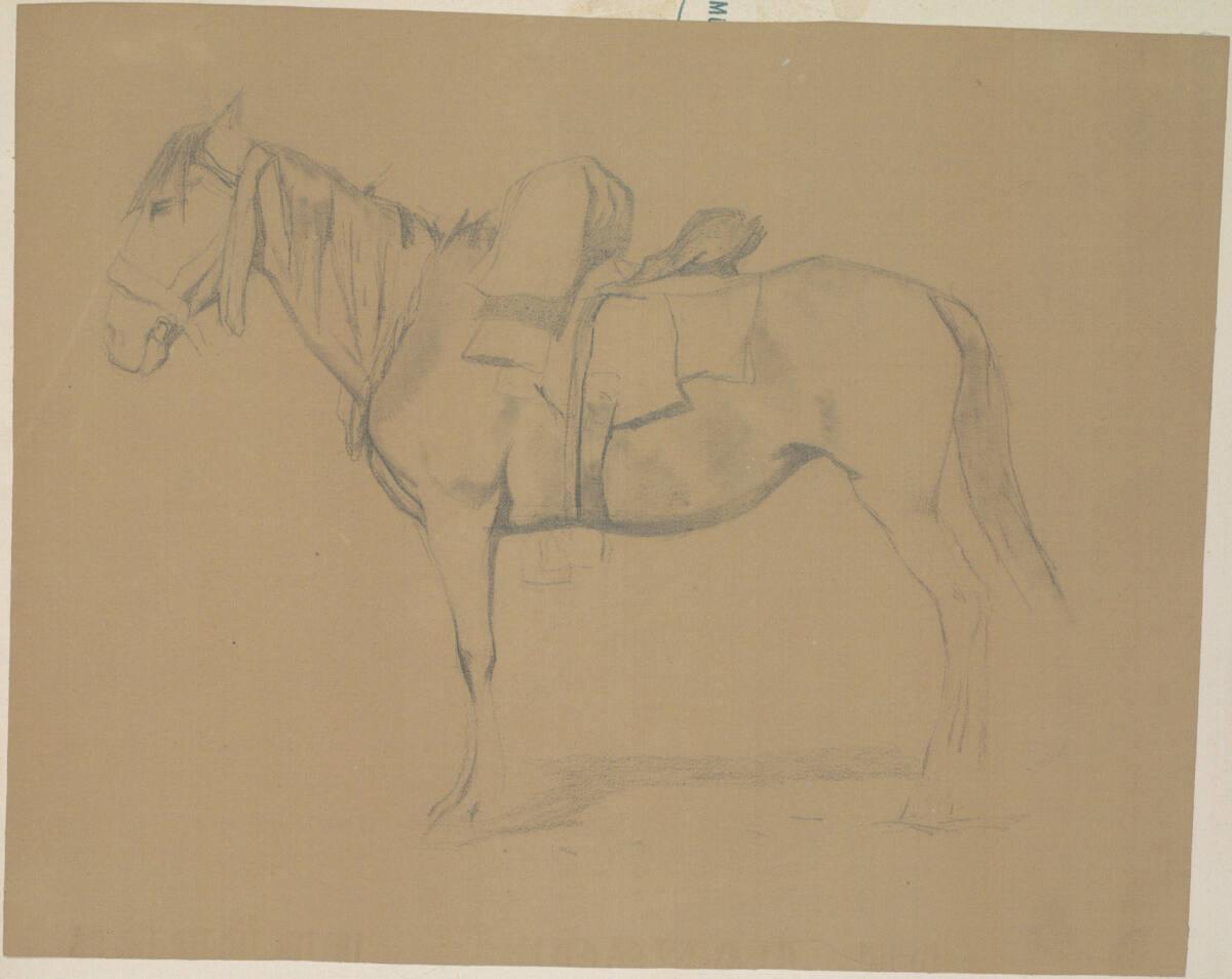 Johann Gualbert Raffalt, Pferdestudie, Inv. Nr.: 26046/32