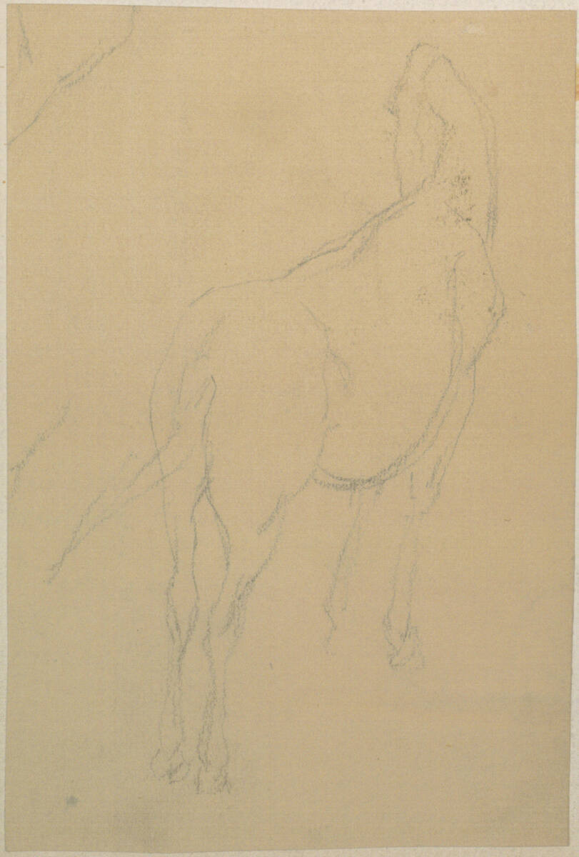 Pferdestudie, Johann Gualbert Raffalt