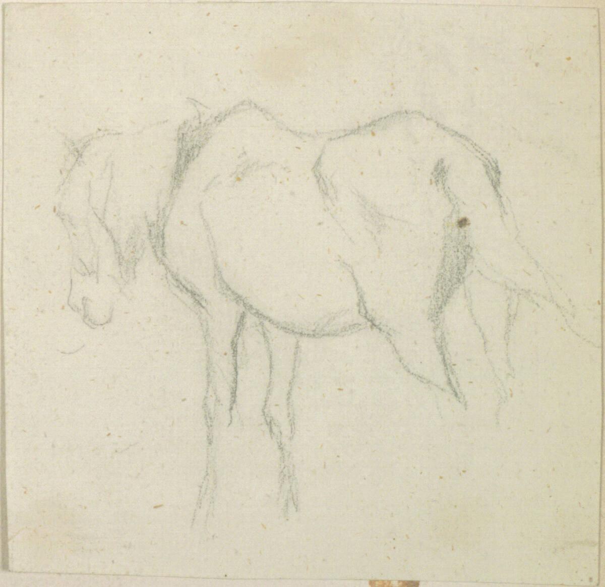 Johann Gualbert Raffalt, Pferdestudie, Inv. Nr.: 26046/34/3