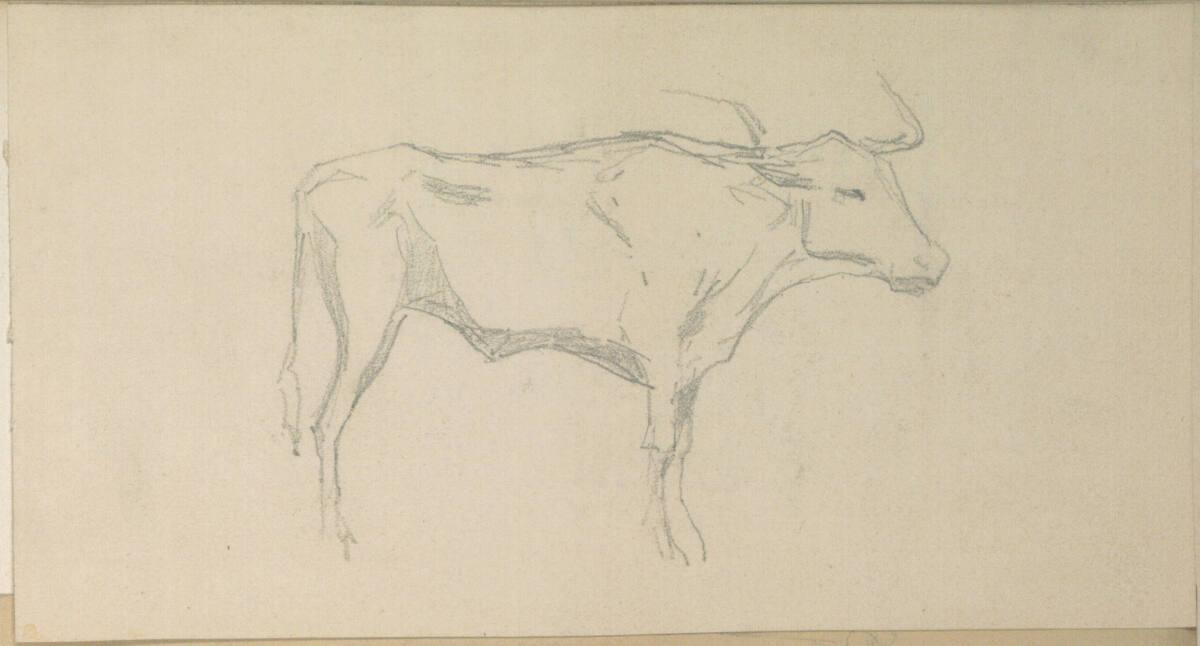 Johann Gualbert Raffalt, Skizze eines Rindes, Inv. Nr.: 26046/38/2r