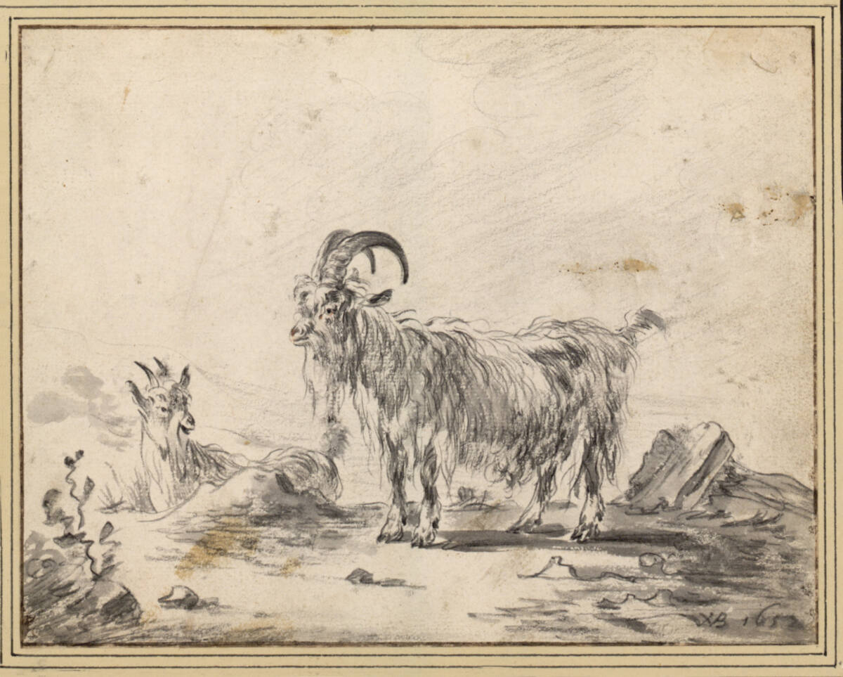 Ziegenbock und liegende Geiß, Willem van Bemmel, 1652