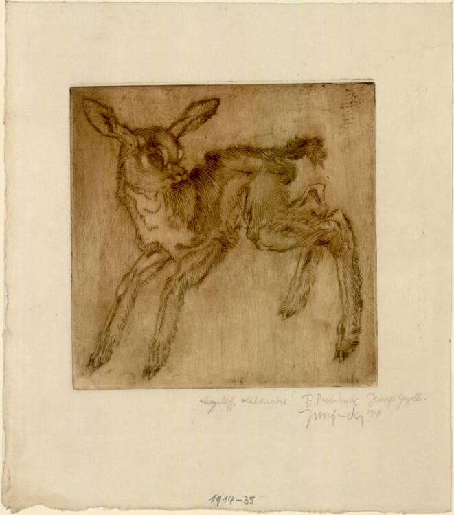 Ludwig Heinrich Jungnickel, Junggazelle (auch : Rehkitz), Inv. Nr.: DG1914/35