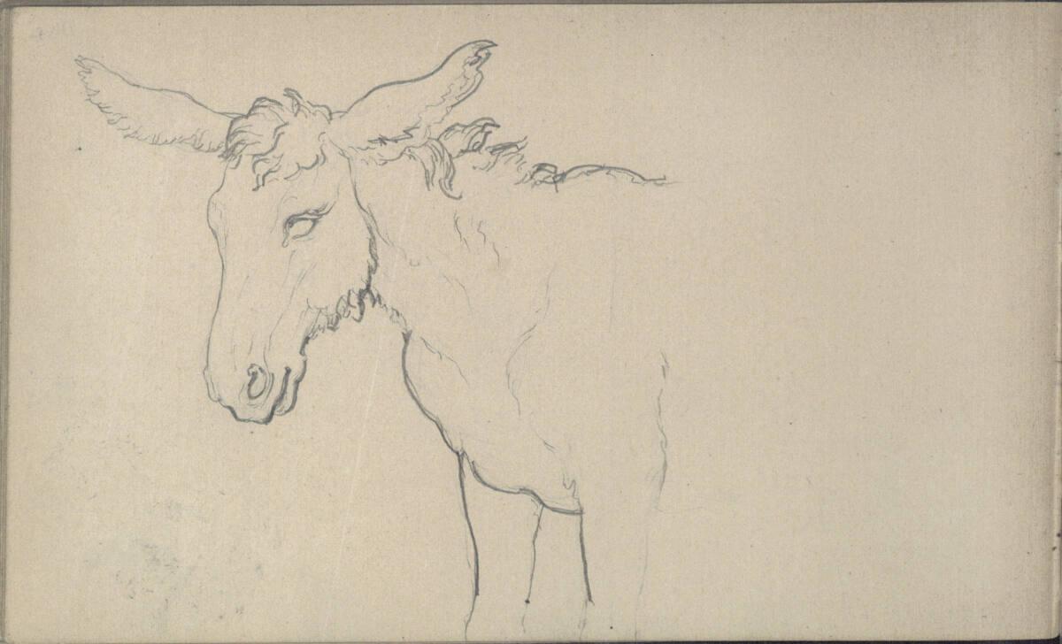 Emerich Alexius Swoboda, Studie eines Esels, Inv. Nr.: 30301/50v
