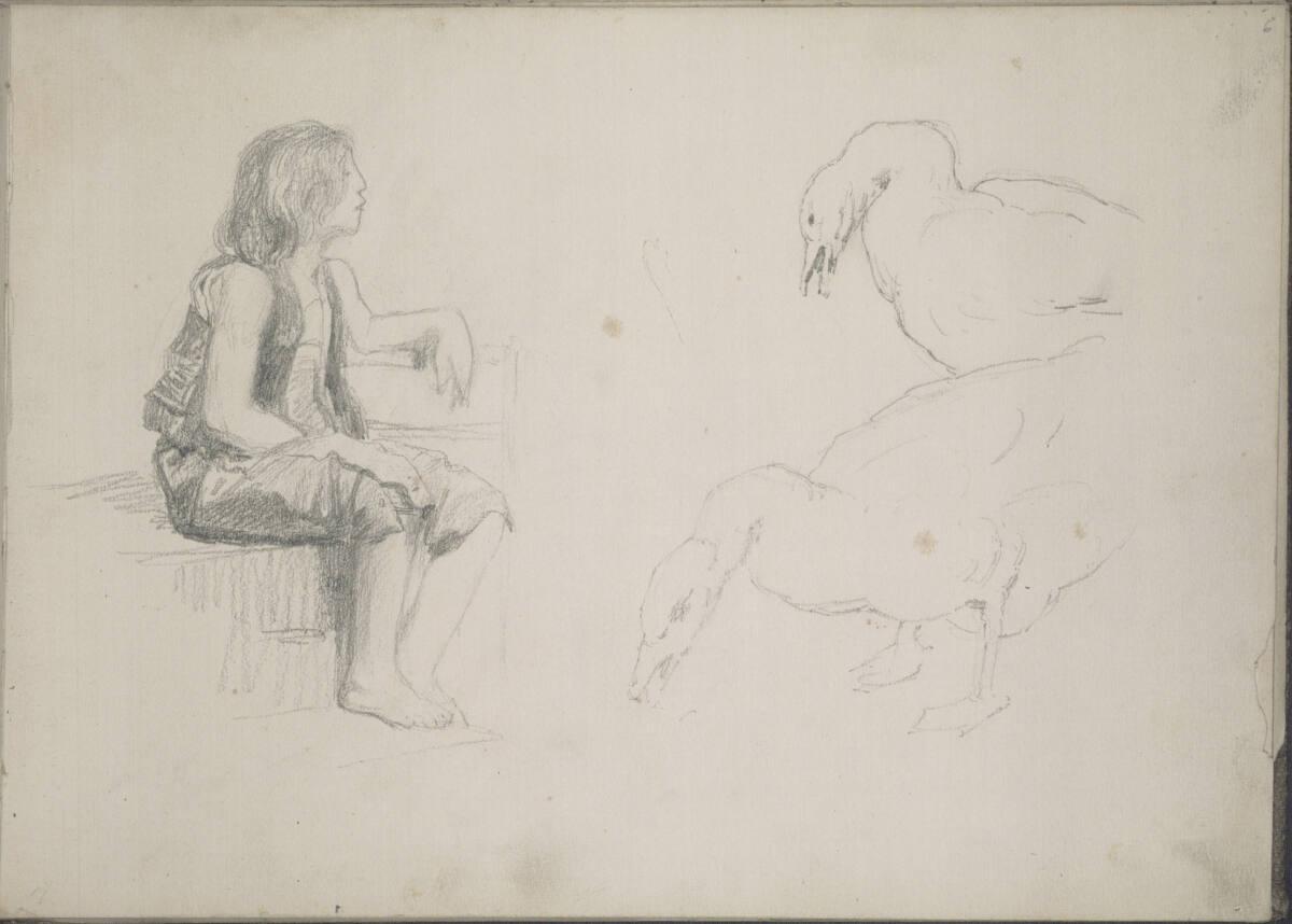 Ludwig Rösch?, Studie eines sitzenden Jungen und zweier Gänse, Inv. Nr.: 43461/6