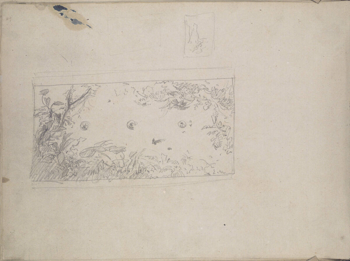 Grundriss des Palmenhauses, Ludwig Rösch