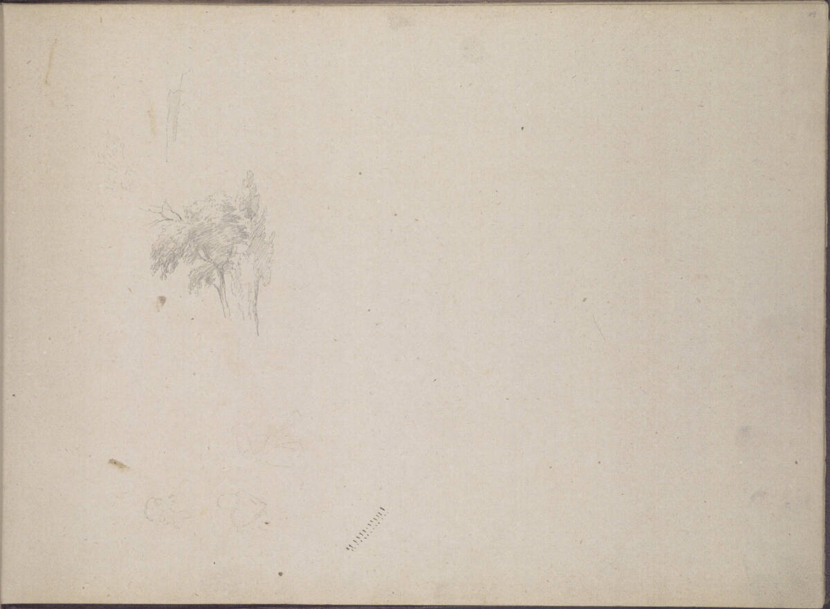 Baumstudie, Ludwig Rösch, 1882–1885