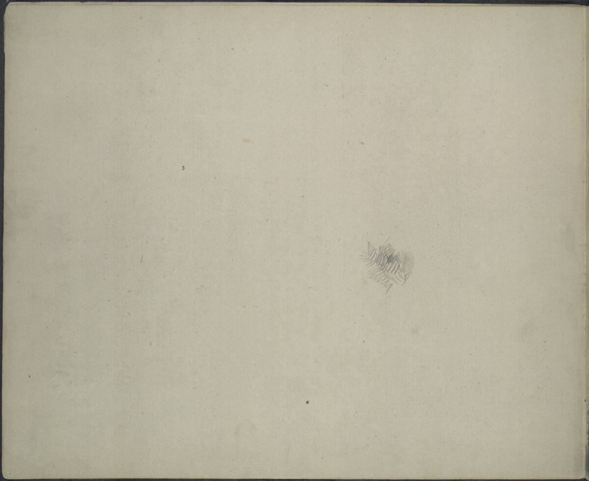 Studie eines Zweiges, Ludwig Rösch