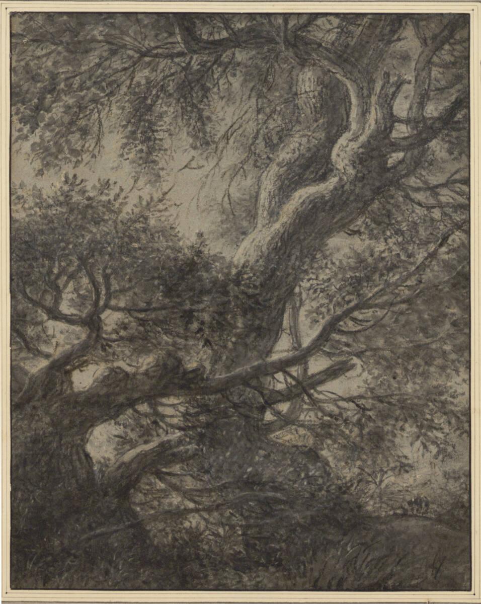 Anthonie Waterloo, Zwei krummgewachsene Bäume, Inv. Nr.: 9350