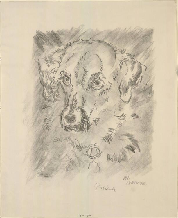 Ludwig Heinrich Jungnickel, Terrierkopf (auch: Kriegshund Prinz), Inv. Nr.: DG1924/119