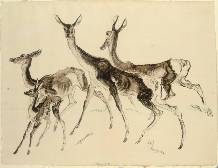 Ludwig Heinrich Jungnickel, Rehe, Inv. Nr.: DG1924/675