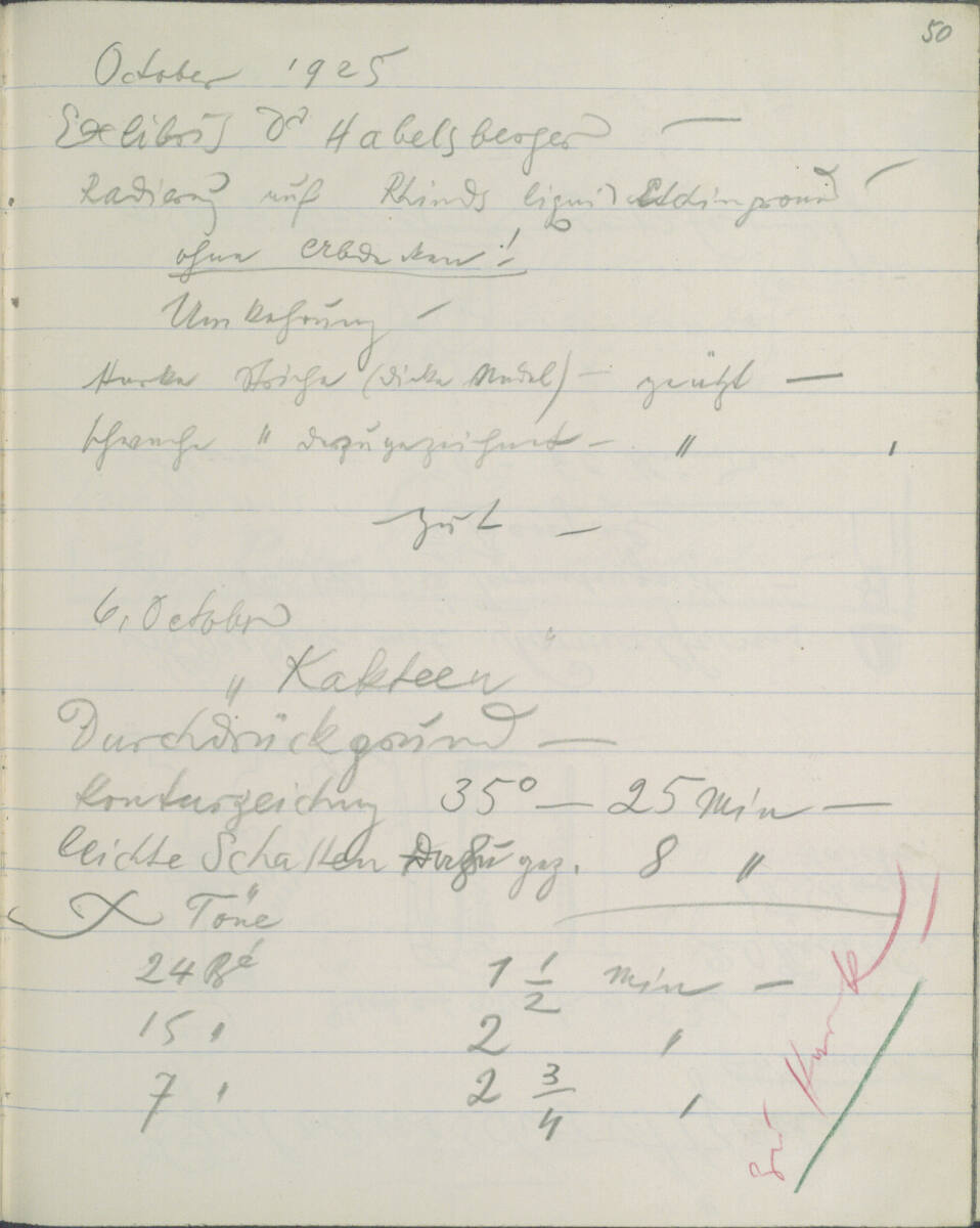 Notizen zu dem Exlibris für Dr. Habelsberger und zur Ätzung von "Kakteen", Richard Teschner
