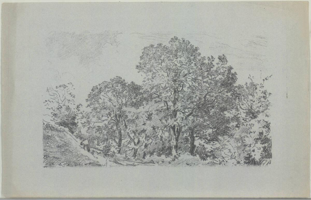 Hermann Heller, Nußbäume, Inv. Nr.: DG1986/58