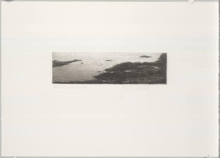 Gottfried Helnwein, Edgar Allen Poe, Inv. Nr.: DG1988/21/8