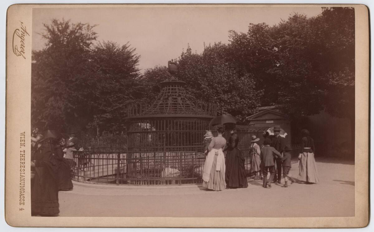 Victor Angerer, Wien, Schönnbrunn, Tiergarten, Inv. Nr.: Foto2005/166/11