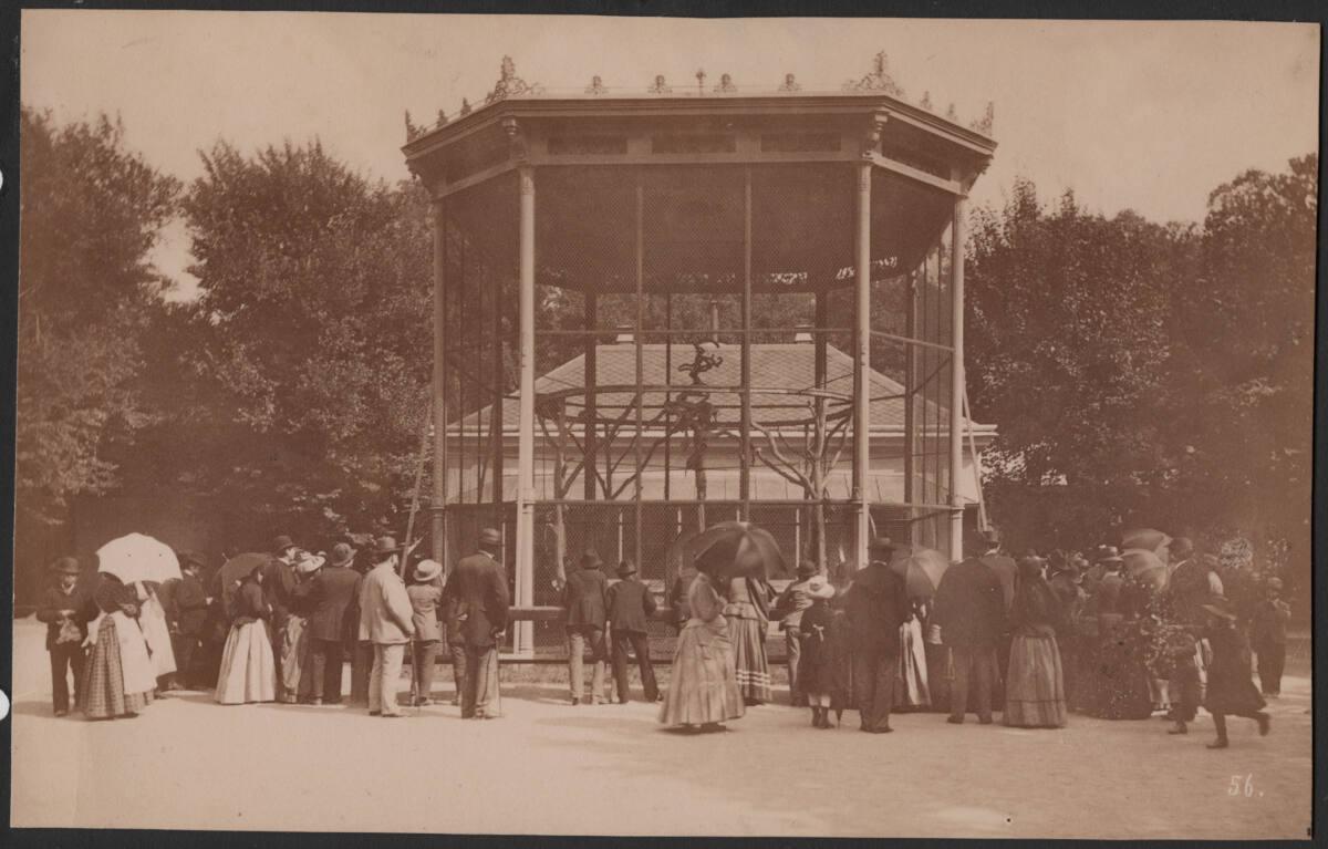 Victor Angerer, Wien, Schönbrunn, Tiergarten - vor dem Affenkäfig, Inv. Nr.: Foto2005/166/62