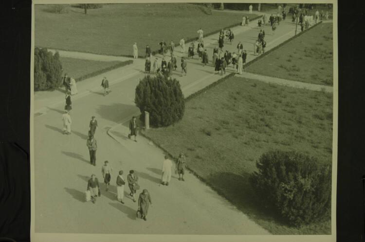 Hans Cechal, Blick auf eine Straße, Inv. Nr.: Foto2005/46/113