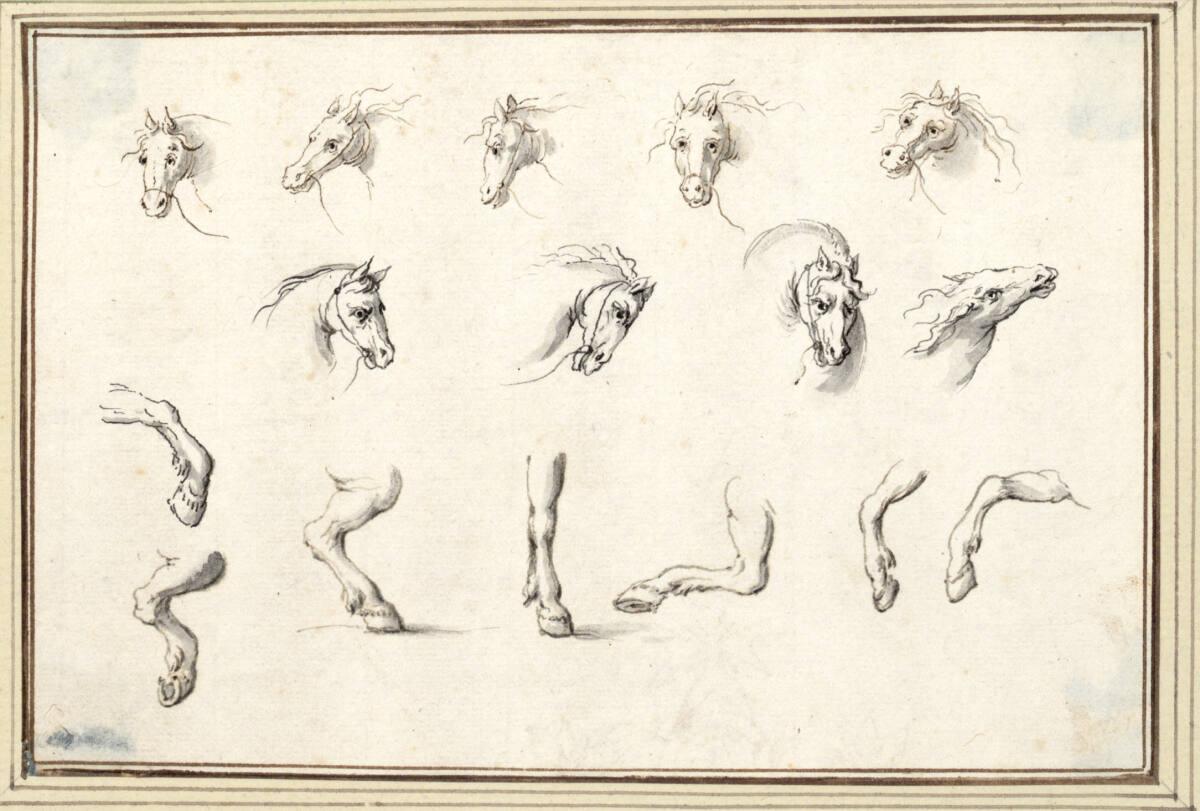 Albert Flamen, Studienblatt mit Pferdeköpfen und Pferdefüßen (V-24), Inv. Nr.: 9783