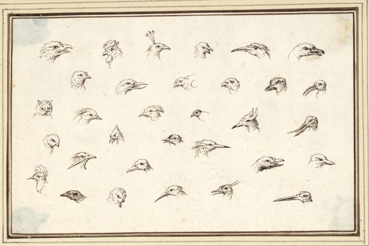 Albert Flamen, Studienblatt mit dreiunddreißig Köpfen verschiedener Vogelarten (V-26), Inv. Nr.…