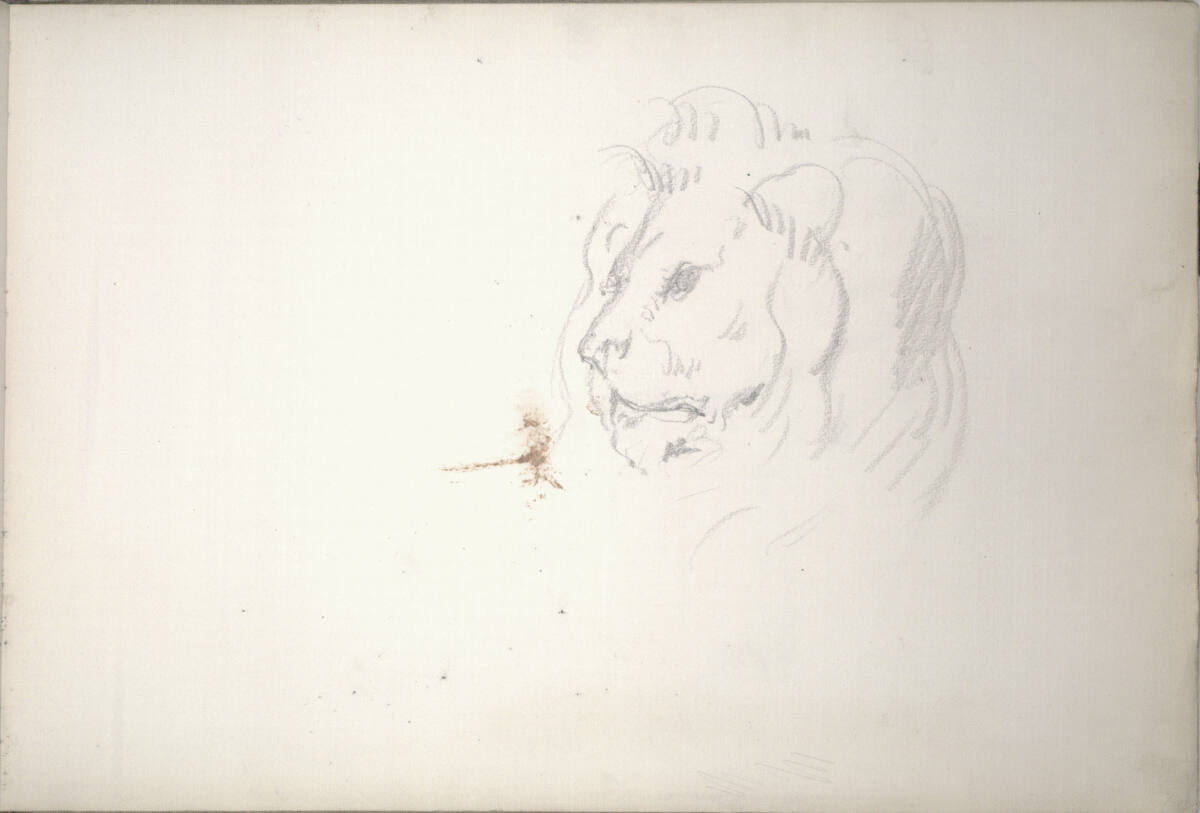 Skizze eines Löwenkopfes (im Skizzenbuch kopfstehend; zur Allegorie der Zoologie?), Hans Canon
