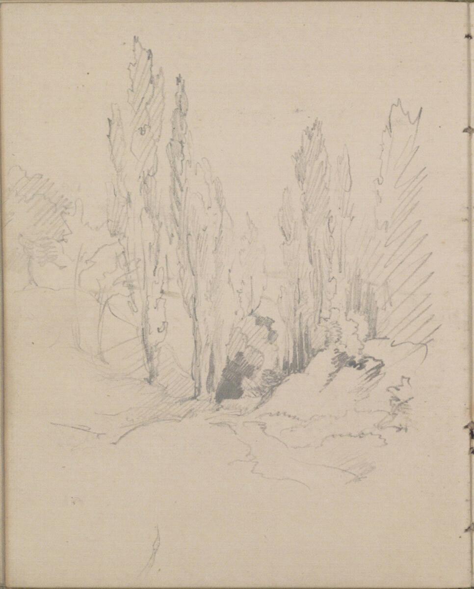 Josef Danhauser, Landschaftsskizze mit Pappeln, Inv. Nr.: 26559/30