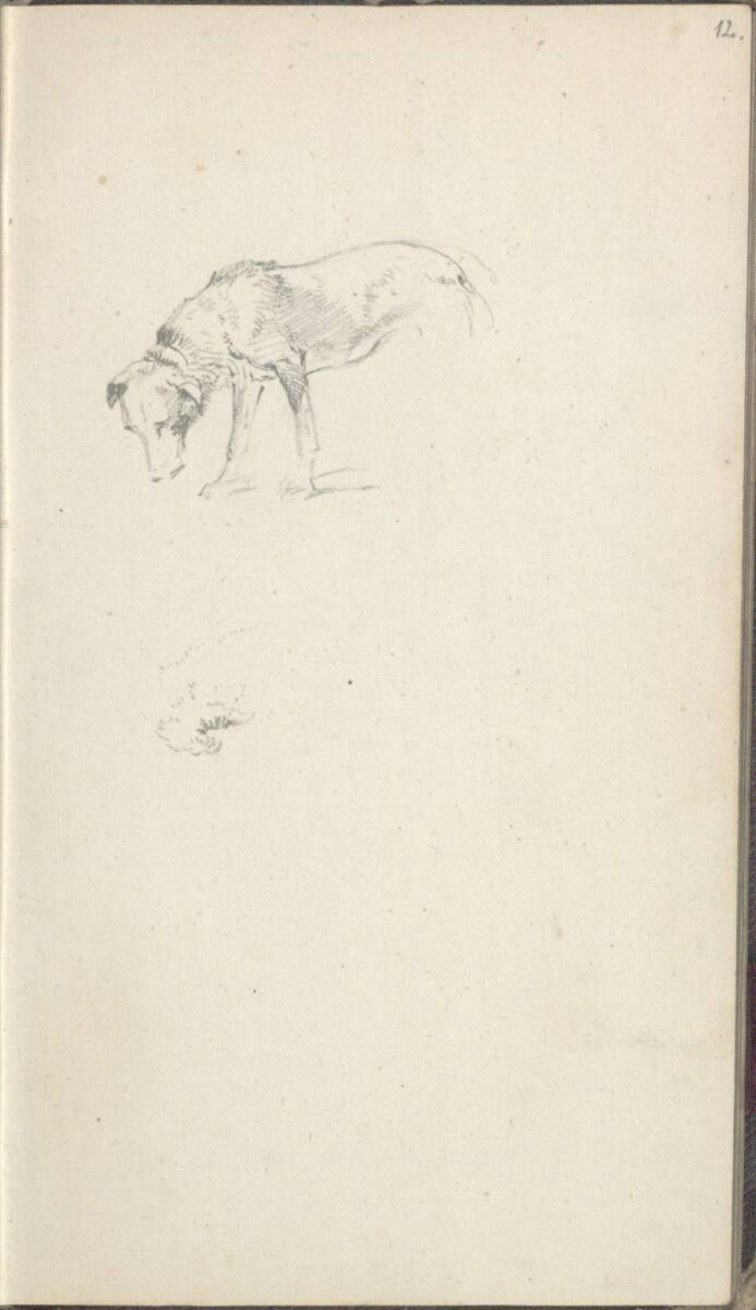 Friedrich Gauermann, Skizze eines Hundes, Inv. Nr.: 25668/12