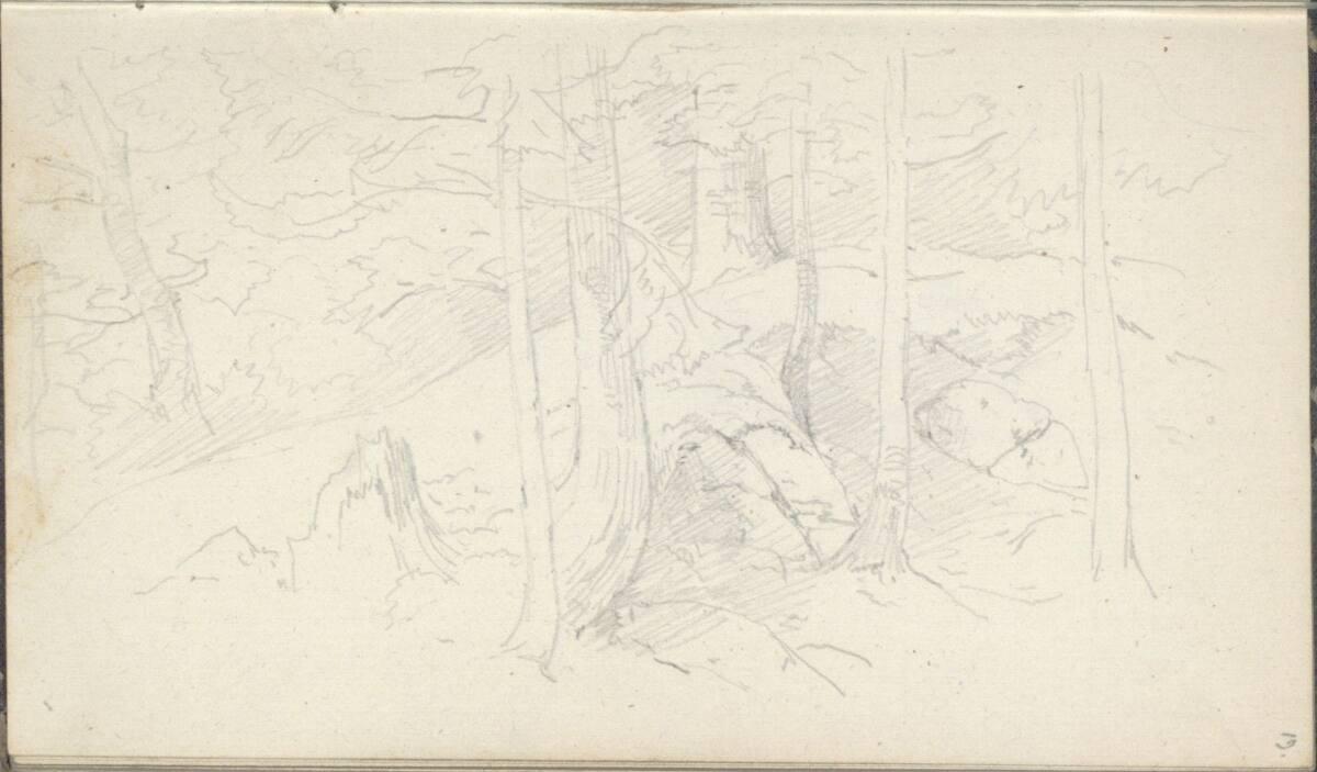 Friedrich Gauermann, Waldstudie, Inv. Nr.: 25668/19