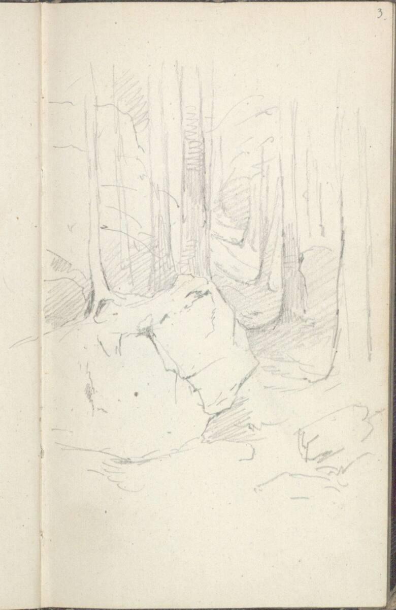 Friedrich Gauermann, Waldstudie, Inv. Nr.: 25668/3