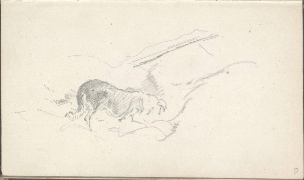 Friedrich Gauermann, Studie eines Hundes, Inv. Nr.: 25668/51