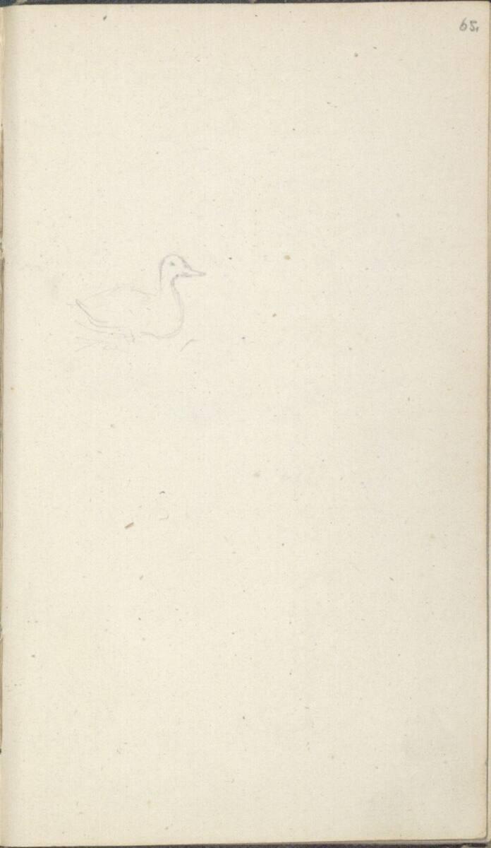 Friedrich Gauermann, Skizze einer Ente, Inv. Nr.: 25668/65