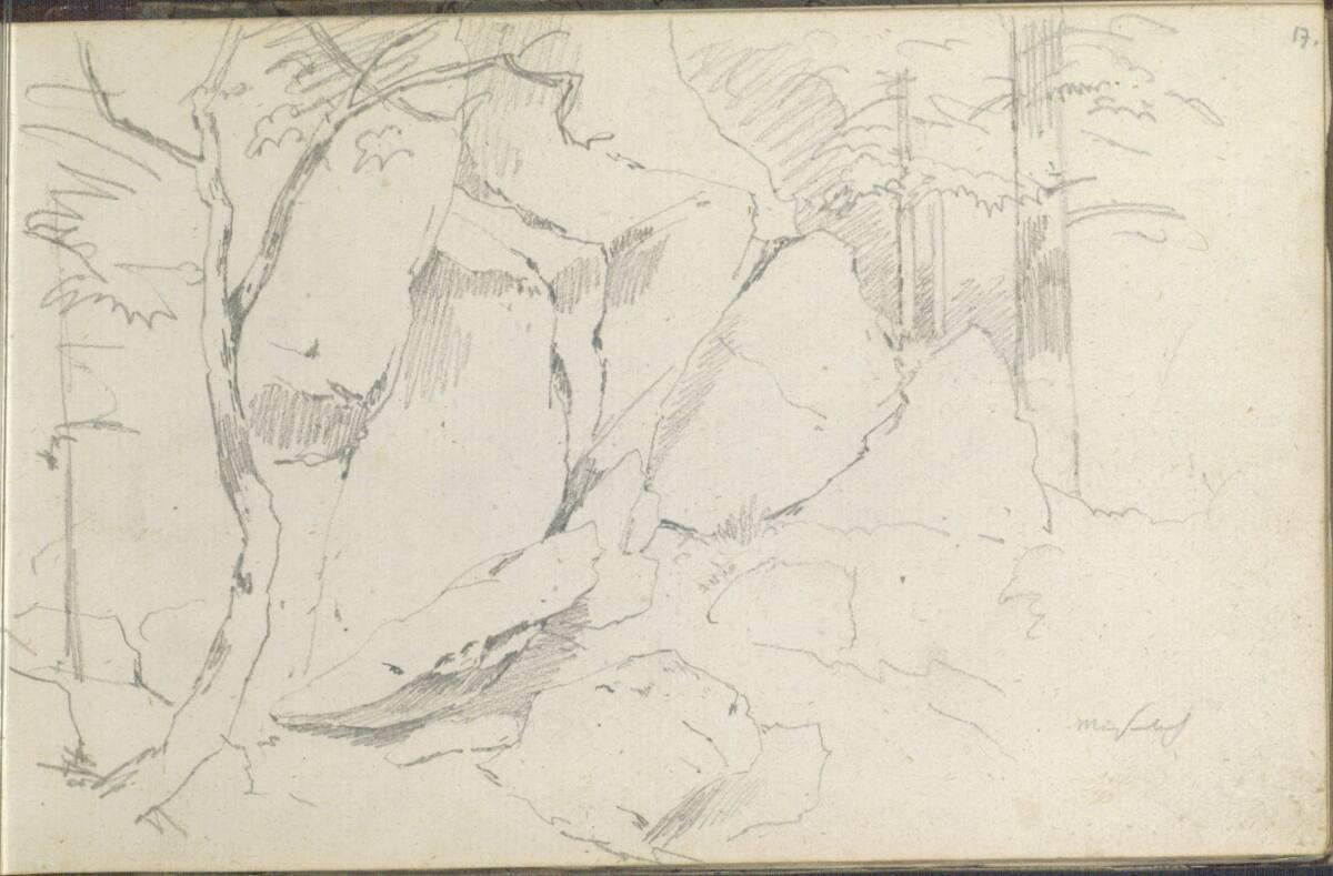 Friedrich Gauermann, Miesenbach, Inv. Nr.: 25670/17r