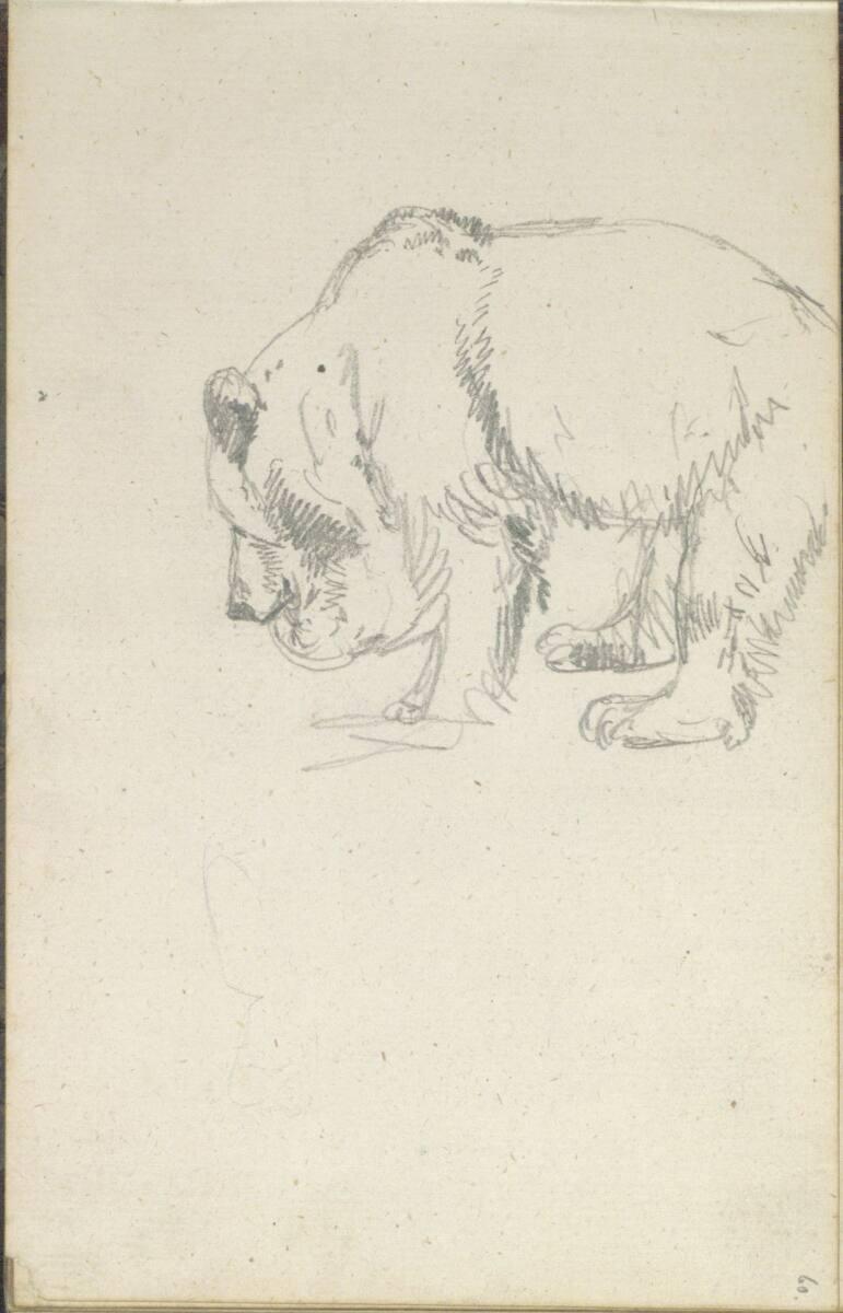 Friedrich Gauermann, Bärenskizze, Inv. Nr.: 25670/60r