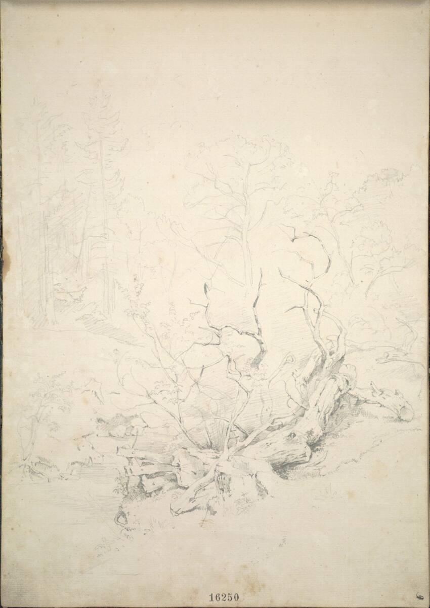 Studie eines Waldbachs, Friedrich Gauermann, 1826–1833