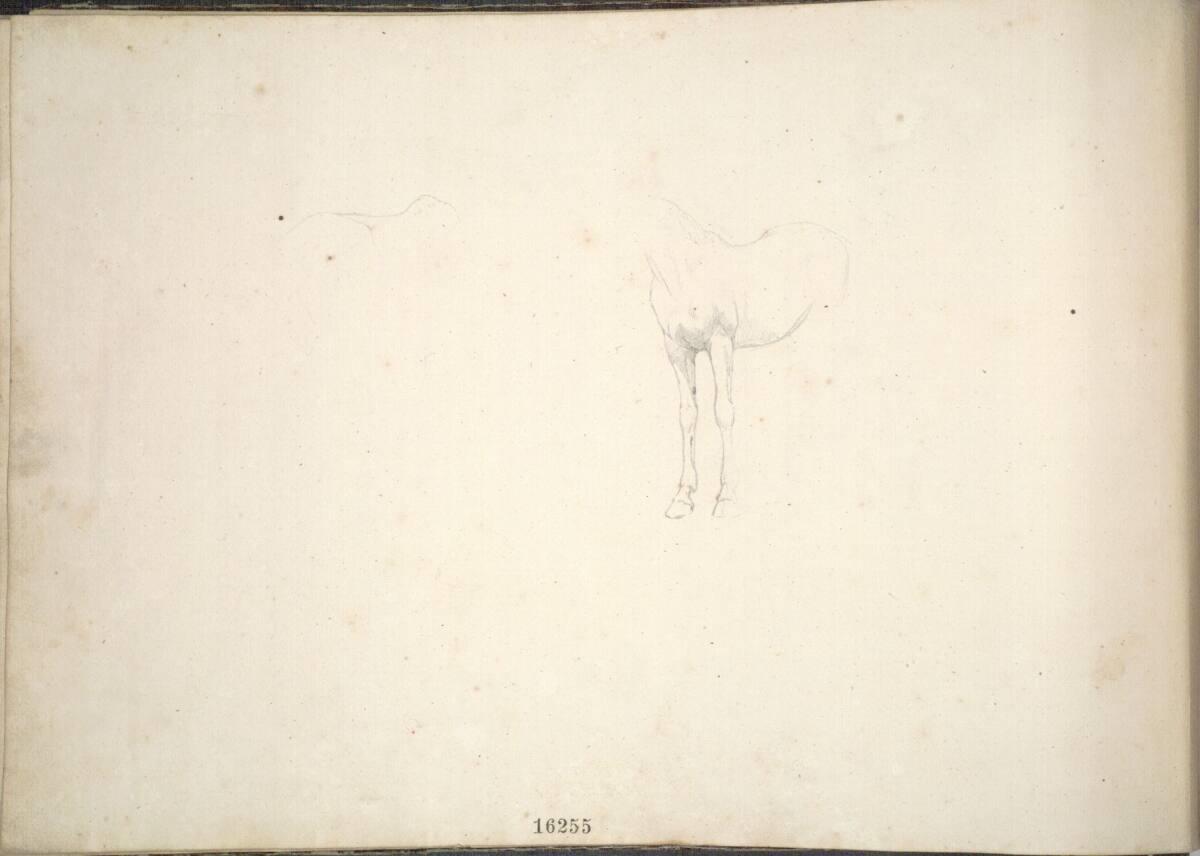 Friedrich Gauermann, Pferdestudien, Inv. Nr.: 16255v