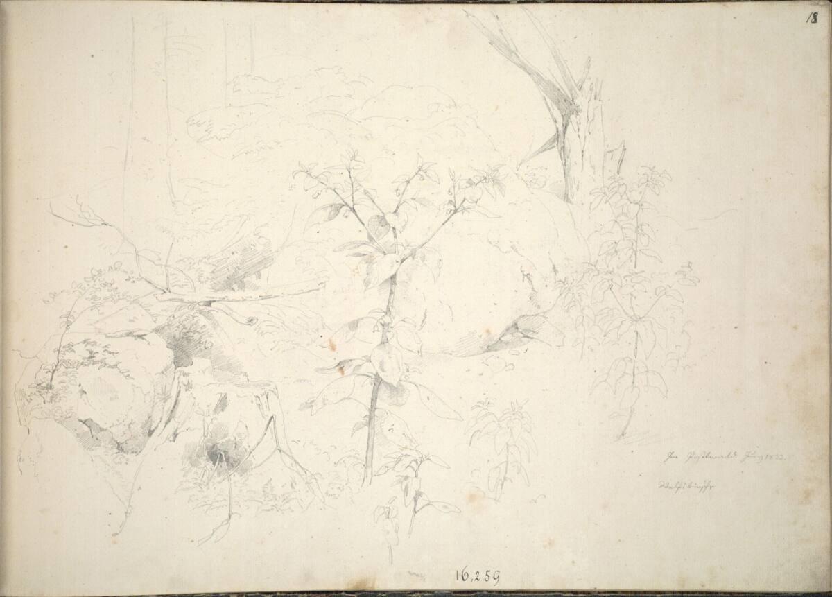 Friedrich Gauermann, Im Postlwald, Juni 1833, Wolfskirsche, Inv. Nr.: 16259