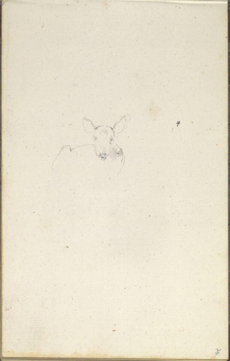 Friedrich Gauermann, Rehskizze, Inv. Nr.: 25670/76