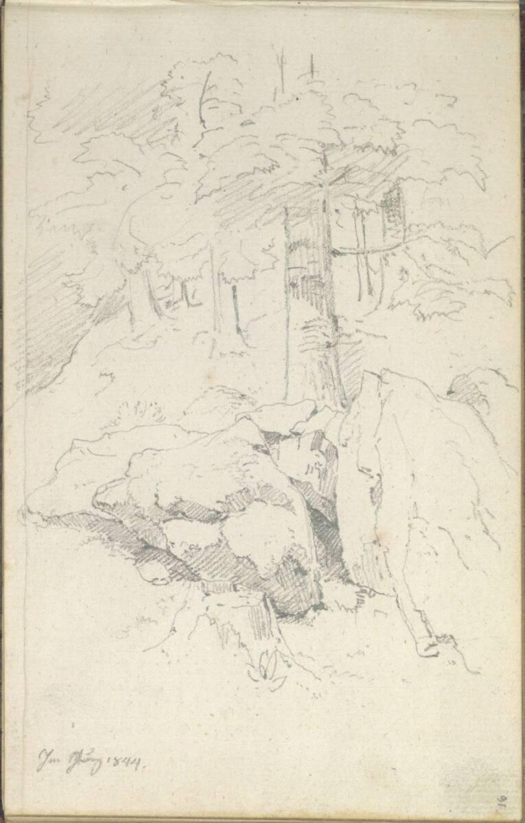 Friedrich Gauermann, Waldstück mit Felsen, Inv. Nr.: 25670/91r