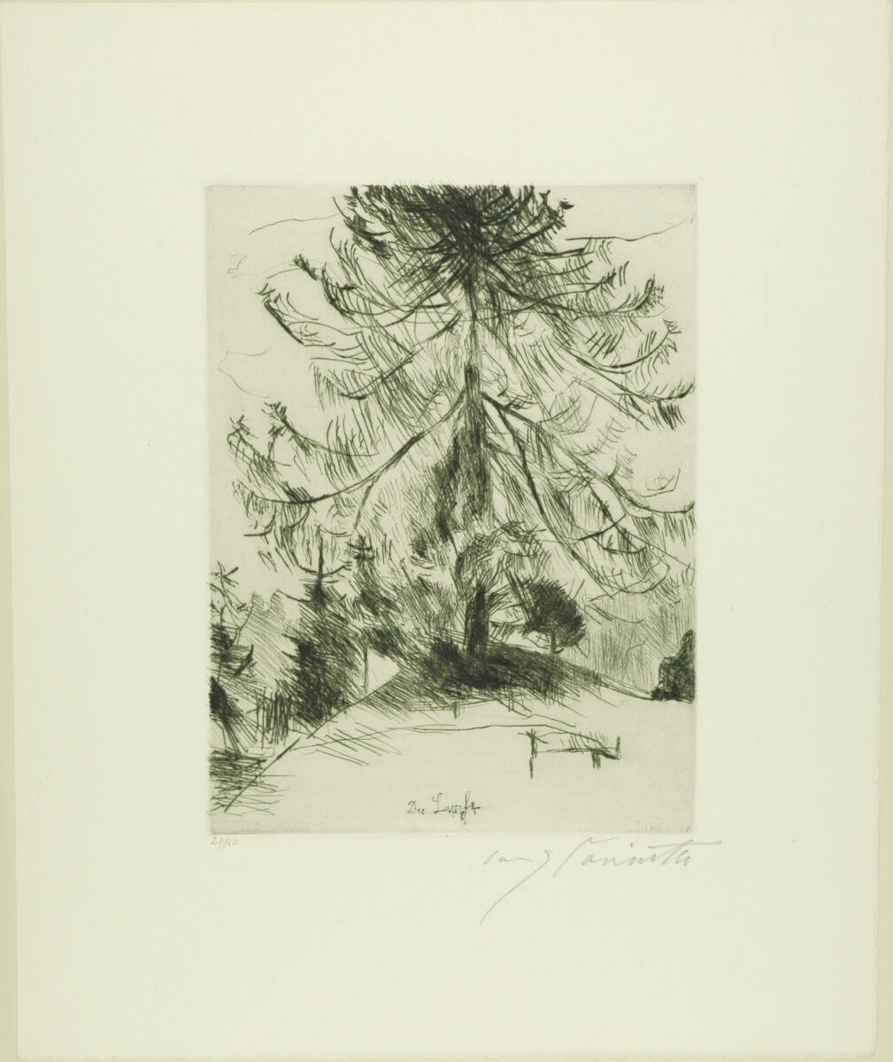 Am Walchensee; Die Lärche, GurlittPresse, 1920