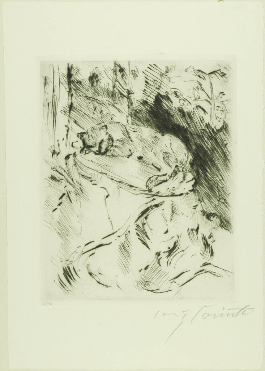 Am Walchensee; Katze auf Baumstrunk, GurlittPresse, 1920