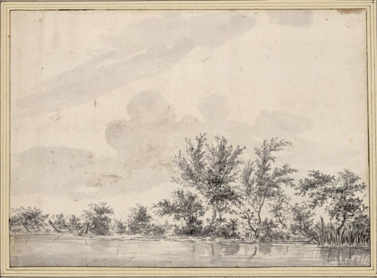 Flaches Flußufer mit Bäumchen, Büschen und Schilf, Inv. Nr.: 10054