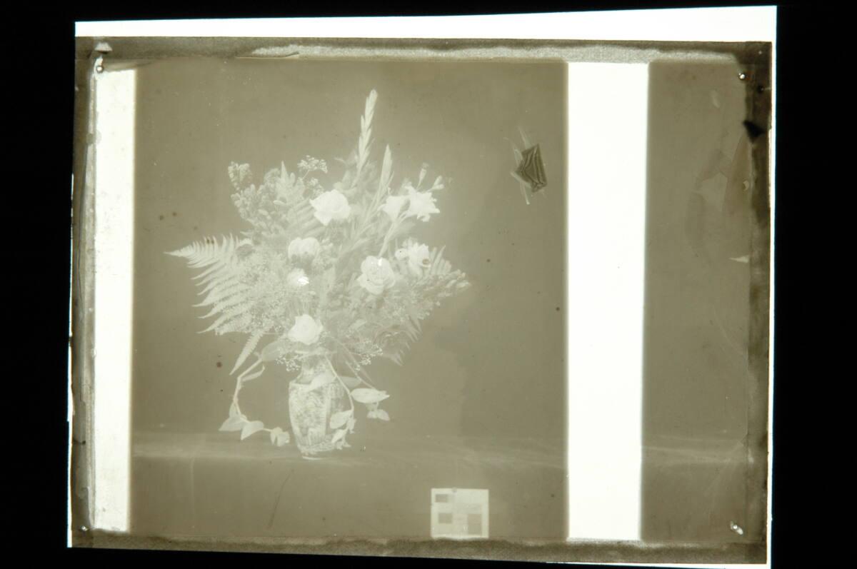 Arthur von Hübl, Stillleben mit Blumenstrauß in Vase, Inv. Nr.: FotoGLV2000/14214/10