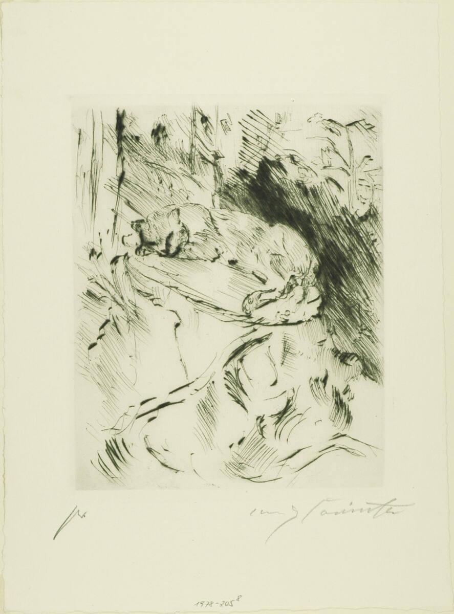 Lovis Corinth, Am Walchensee; Katze auf Baumstrunk, Inv. Nr.: DG1978/205/8