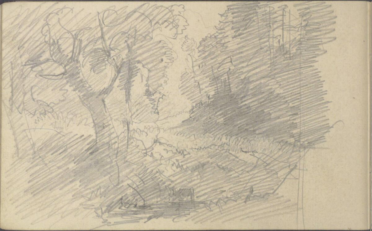 Friedrich Gauermann, Waldstudie, Inv. Nr.: 25672/10v