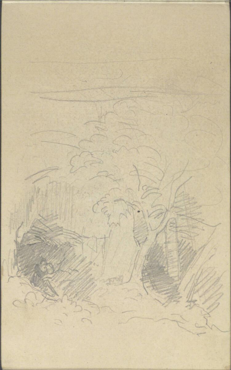 Friedrich Gauermann, Grobe Waldskizze, Inv. Nr.: 25672/75v
